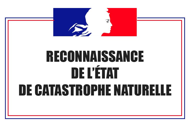 logo texte catastrophe naturelle 