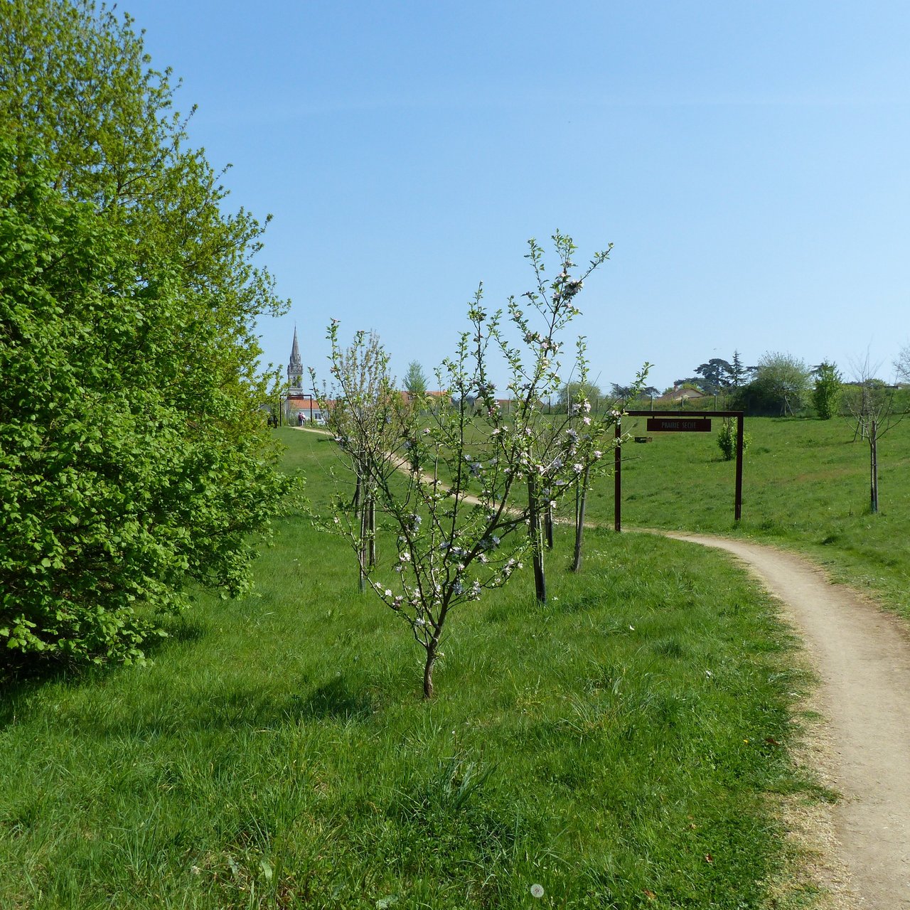 Gestion différenciée des espaces verts Parc des Garennes