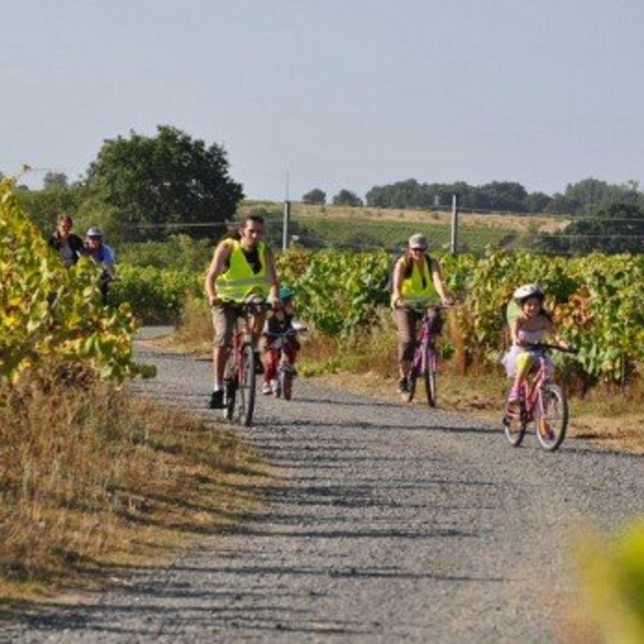 Ballade en vélo à travers le Vignoble nantais