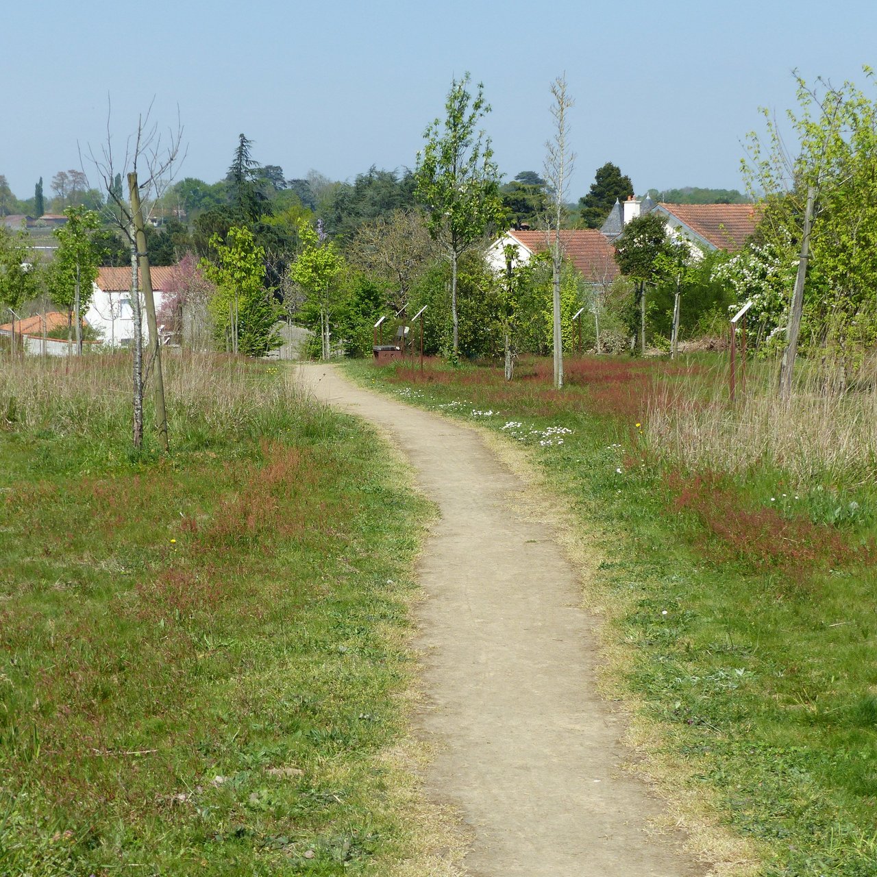 Gestion différenciée des espaces verts Parc des Garennes