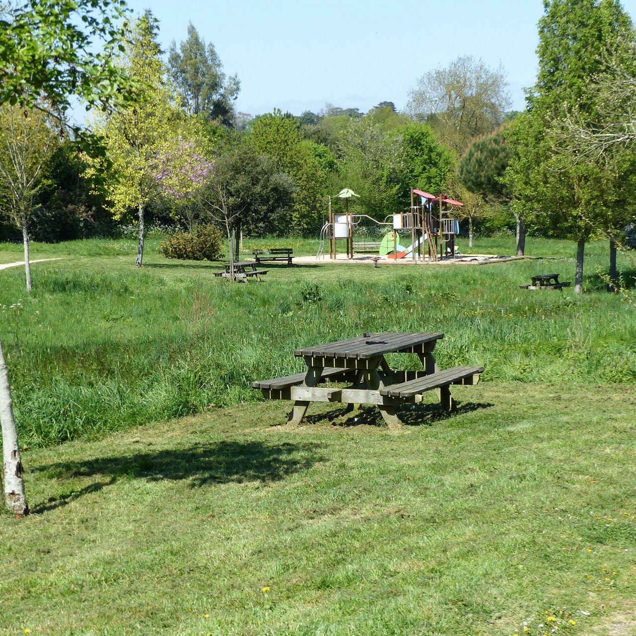 Gestion différenciée des espaces verts Parc de la Coulée Verte